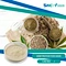 SNC | Good Fortune is a professional Hemp Protein Powder supplier in China supplies all kinds of healthy ingredient.